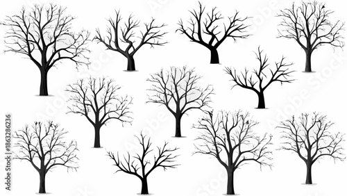 Collection of bare trees in various shapes and sizes