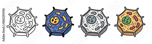 Set of four plant cell illustrations showing different artistic styles, including a simple black outline, two colorful cartoon versions, and a detailed grayscale sketch for science education
