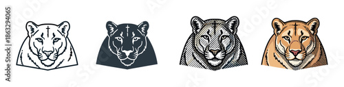 Four cougar head vector illustrations in different styles including outline, silhouette, engraved, and colored versions for a powerful mascot or emblem design concept