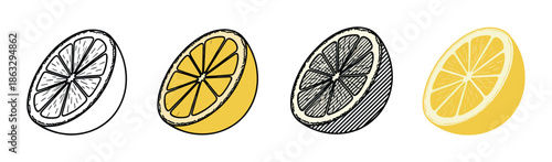 Set of four lemon half illustrations showing different artistic styles, from simple line art and flat color to detailed hand-drawn hatching for graphic design and food concepts