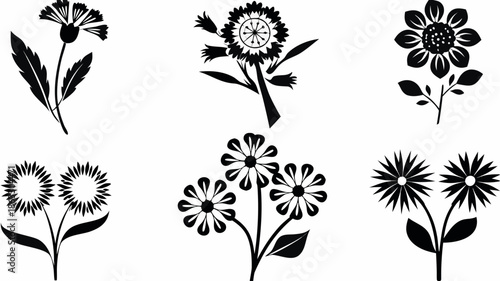 Black floral silhouettes on white background for design