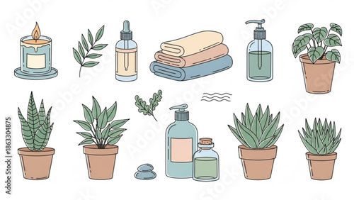 Relaxing spa and plant collection for wellness branding