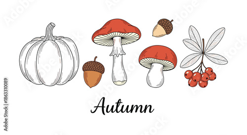 Autumn harvest collection with hand-drawn illustrations of a pumpkin mushrooms acorns and rowan berries with 'Autumn' lettering.