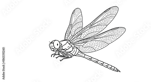 Detailed black and white line art illustration of a dragonfly in flight with intricate wings perfect for a coloring book page.