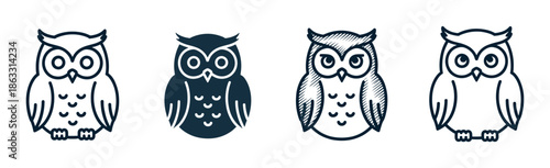 Four cute owl vector icons set in different graphic styles including outline, glyph, and sketch for a logo or emblem design, a collection of nocturnal bird symbols