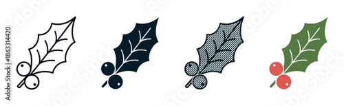 Set of four holly berry icons showing different design styles including outline, silhouette, hatched fill, and full color for festive winter holiday graphic design projects