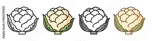 Set of four cauliflower vegetable illustrations in various artistic styles, including simple line art, color cartoon, and detailed hand-drawn engraving for food icons
