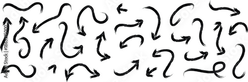 An abstract black and white image featuring intricate curvy line patterns