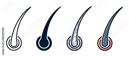 Set of four hair follicle icons showing the root and shaft in different illustration styles including line art, glyph, hand-drawn sketch, and full color vector