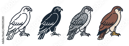 Peregrine falcon vector icon set with four design variations including a simple contour, a dark silhouette, a monochrome hatched drawing, and a colored cartoon style