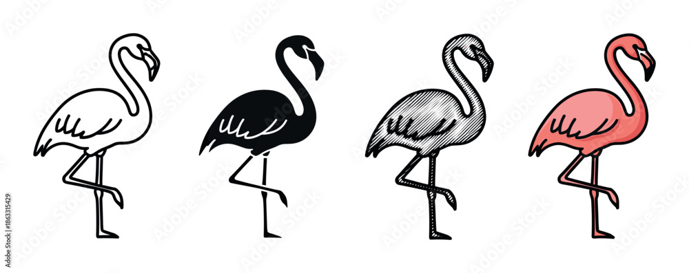 Fototapeta premium Set of four flamingo bird illustrations standing on one leg, presented in various graphic styles including outline, silhouette, engraved hatching, and simple pink color