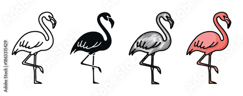 Set of four flamingo bird illustrations standing on one leg, presented in various graphic styles including outline, silhouette, engraved hatching, and simple pink color