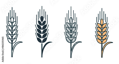 Four stylized wheat ear icons in a set showing different graphic styles like outline, silhouette, engraved hatching, and color for agricultural or food branding