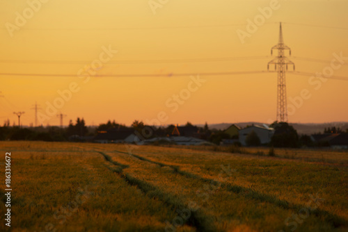 Fototapeta distant pylon watches over quiet meadow at sunset, runner or cyclist imagined pa