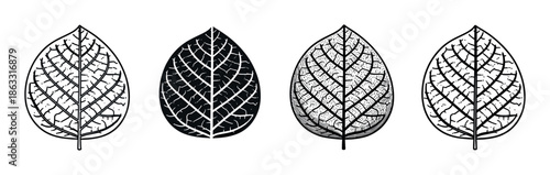 Four black and white leaf illustrations in a row showing different graphic styles, including line art, silhouette, and stippling for a botanical or nature-themed design