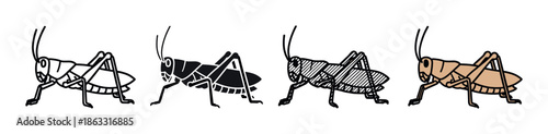 Set of four grasshopper insect illustrations in various graphic styles including simple line art, a solid black silhouette, a hatched sketch, and a flat color version