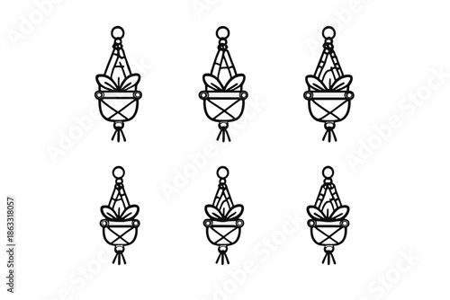 Set of six macrame plant hangers with plants