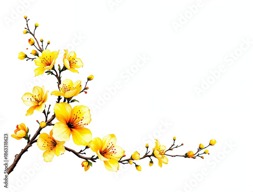 Vibrant Yellow Blossoms on a Branch in a Decorative Corner Design, Ideal for Spring, Nature, and Festive Embellishments on Light Blue and Black Background
