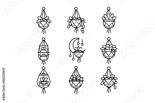Set of Hand-Drawn Macrame Plant Hangers with Plants