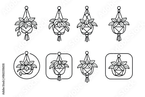 Collection of macrame plant hangers with plants
