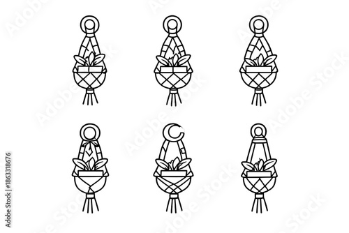 Set of six macrame plant hangers with potted plants