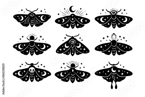 Mystical Moth Illustrations with Celestial Motifs