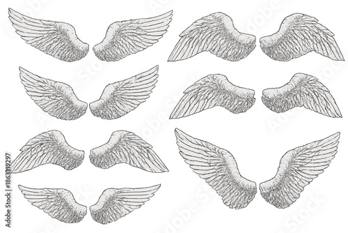 Collection of stylized angel wings