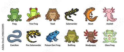 A colorful illustration showcasing various amphibians and reptiles, each with a unique appearance.