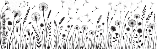 Black and white wildflower field with dandelions and grasses