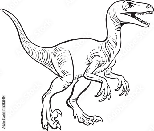 Black and white line art illustration of Velociraptor dinosaur with sharp claws and teeth, prehistoric predator drawing for coloring book and paleontology education