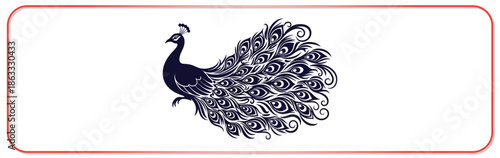 Majestic peacock with intricate feather design on white