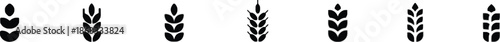 Various stylized wheat ear stalks in black silhouette for agriculture or food
