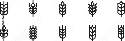 Agriculture wheat and grain ear line icons for organic bakery and farming