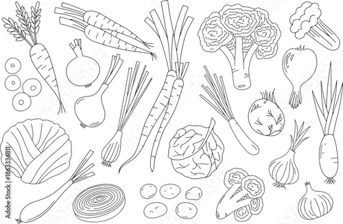 Handdrawn vegetable line art collection for coloring and design projects