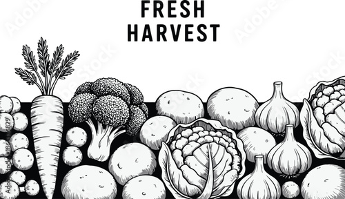 Handdrawn fresh harvest vegetables illustration in monochrome style