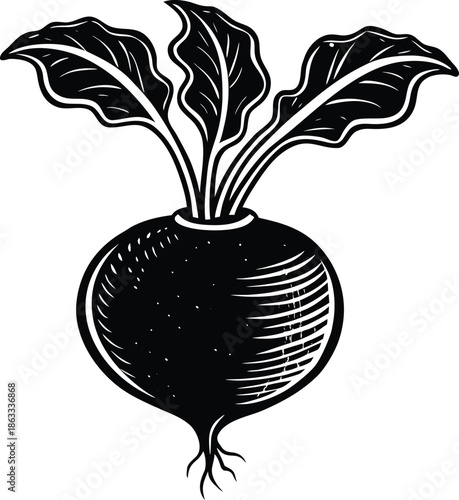 Black and white of a turnip with leaves vegetable root vegetable