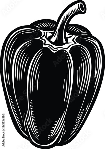 Black and white of a bell pepper vegetable food