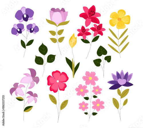 Floral Flourish: An array of vivid and graceful flowers burst forth, each petal and stem a testament to nature's inherent beauty, and diversity