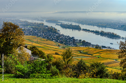 Wallpaper Mural Rüdesheim am Rhein Torontodigital.ca