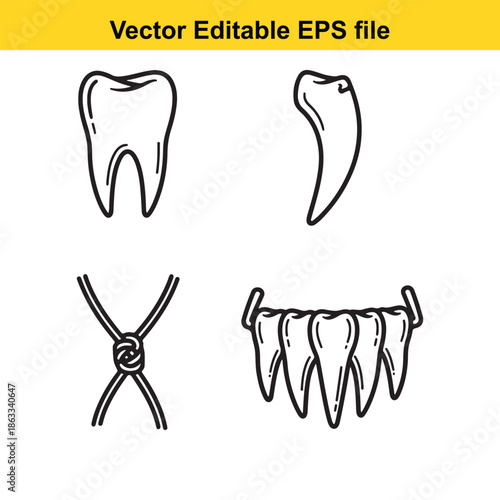 Illustrations of various teeth shapes