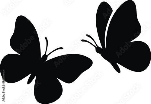 Pair of Beautiful Butterflies Vector Illustration for Nature Theme