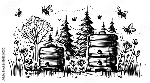 Wooden beehives in forest meadow with flying bees, apiary beekeeping landscape sketch vector illustration