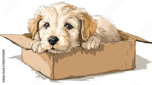 Playful Cute Puppy with Cardboard Box - Vector Illustration