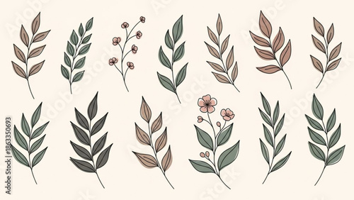 Beautiful floral and leaf illustrations for design projects