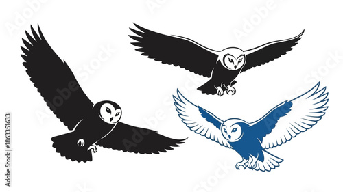 Three barn owls in flight showcasing different color variations silhouette