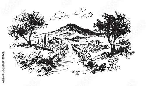 Vineyard Landscape. Vintage wine Label Background. Hand drawn illustration.	
