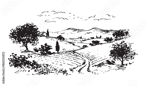 Vineyard landscape, Sketch. Hand drawn illustrations