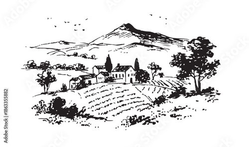 Vineyard Landscape. Vintage wine Label Background. Hand drawn illustration.