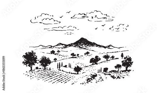 Vineyard Landscape. Vintage wine Label Background. Hand drawn illustration.	
