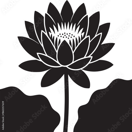A black and white illustration of a lotus flower with leaves on a white background design art piece